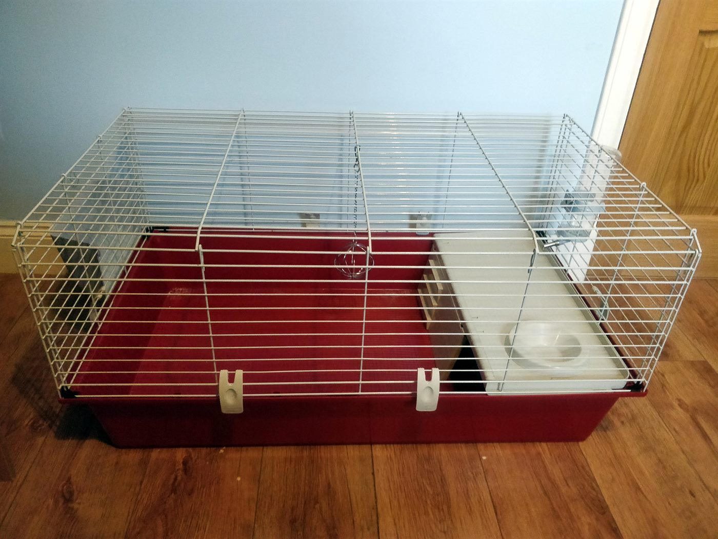 Baby guinea pig cage