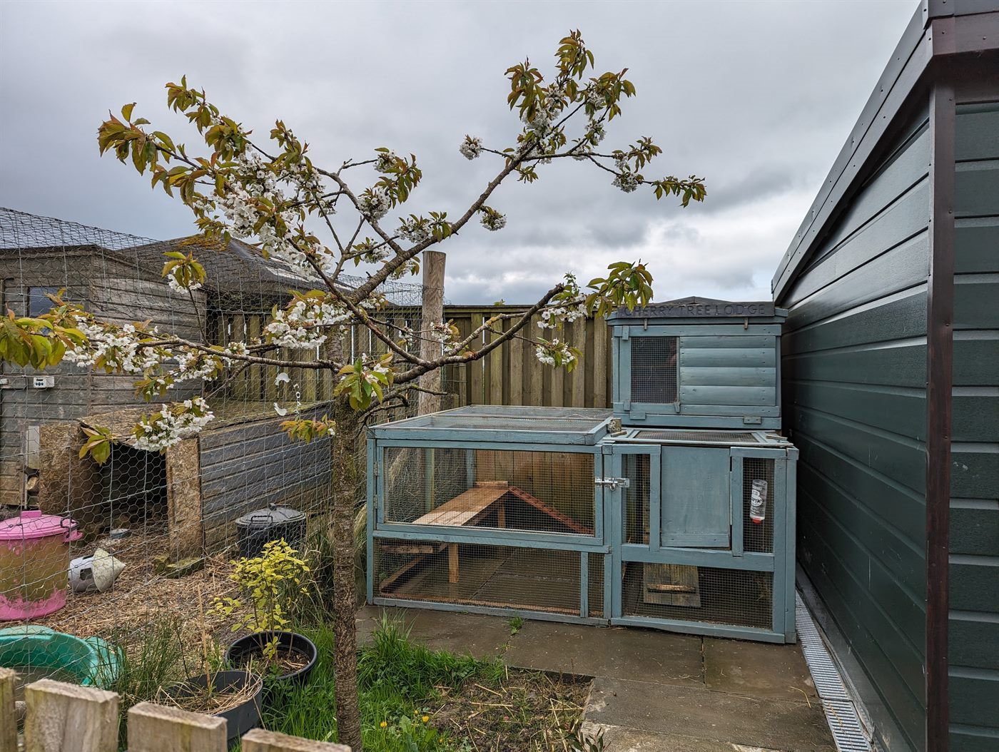 Cherry Tree Lodge accommodation
