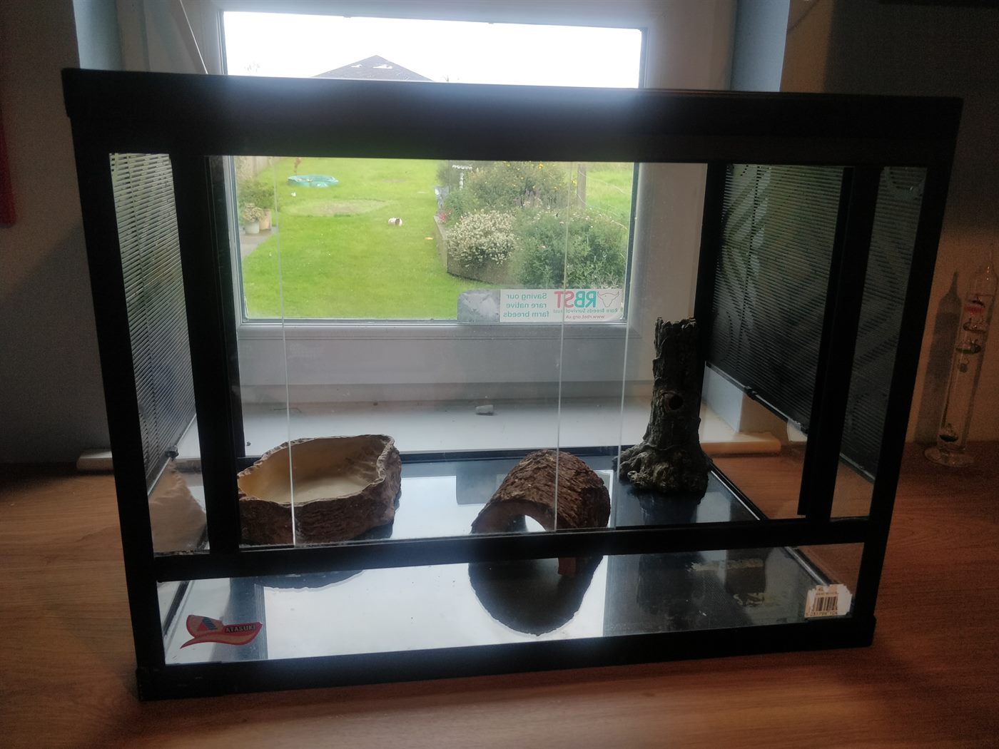 Crested gecko tank