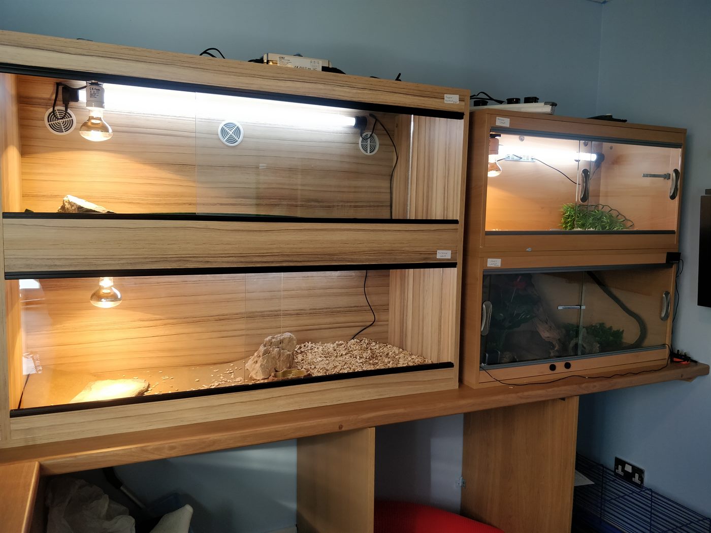 4ft and 3ft vivariums